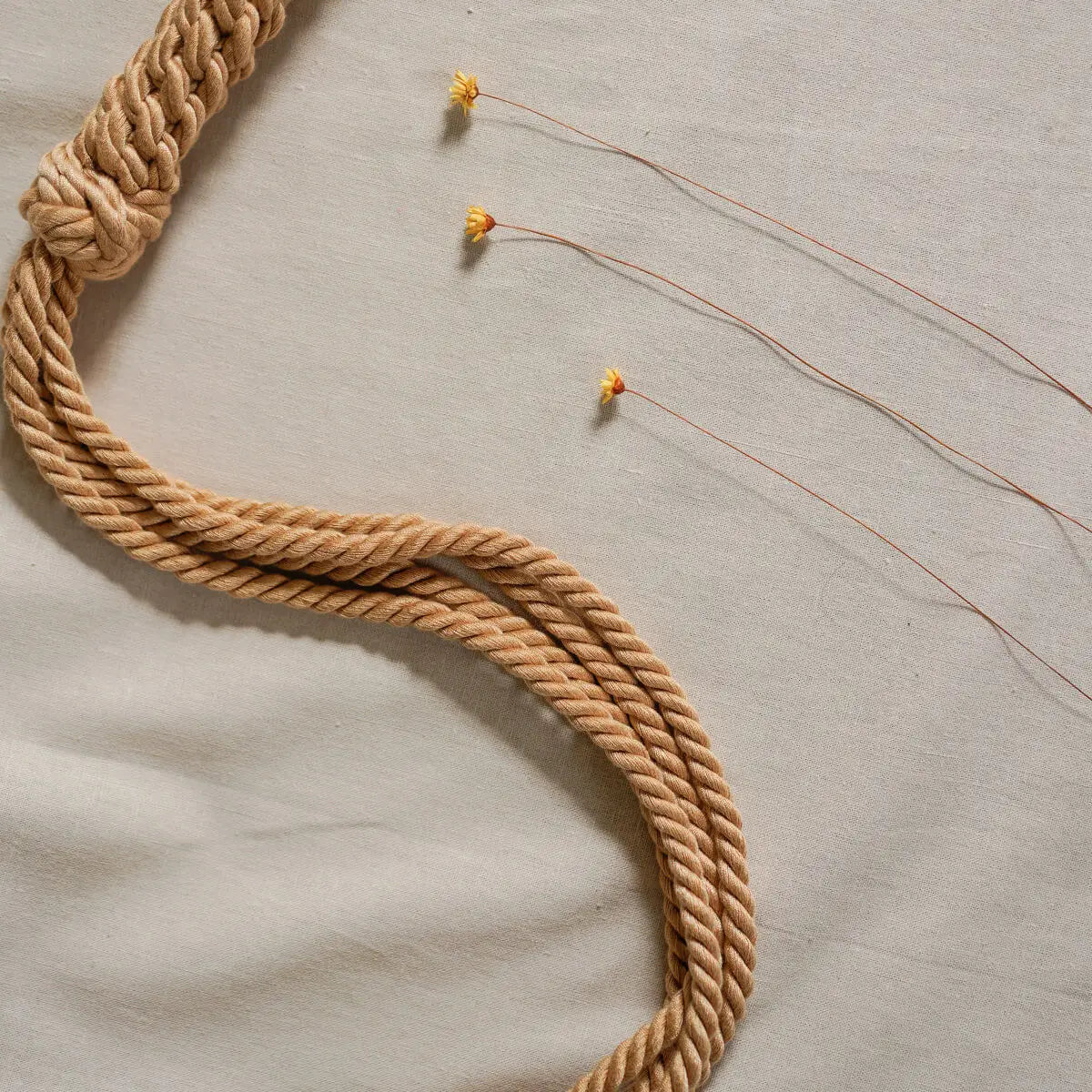 KANUKA Flogger Whip c/Borla para Brincadeiras Eróticas BDSM